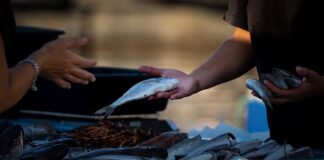 Czy można sprzedawać na blogu? Czy można sprzedawać na blogu?