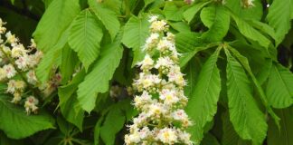 Czy w 2 lata nauczę się do matury? Czy w 2 lata nauczę się do matury?