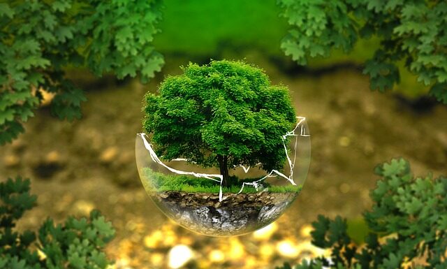 Jakie są zawody związane z biologia? Jakie są zawody związane z biologia?