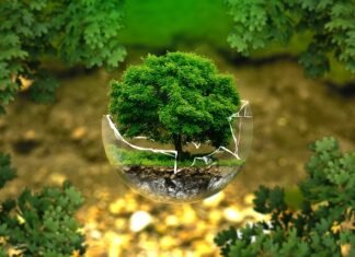 Jak po niemiecku jest biologia? Jak po niemiecku jest biologia?