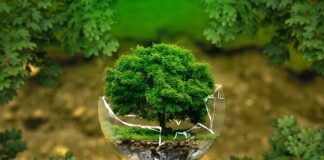 Kto wymyślił słowo Biologia?