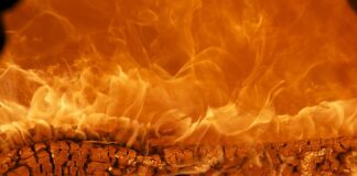 Co jest marka? Co jest marka?