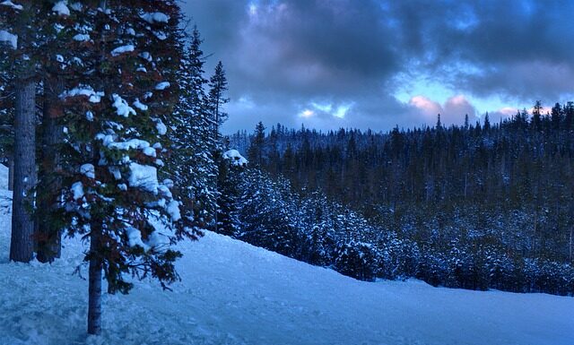 Co można robić po licencjacie z biologii?
