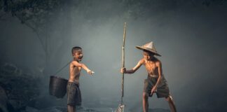 Kiedy praca zespołowa przynosi efekty a kiedy nie?