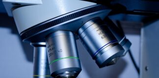 Jakie studia 2 stopnia po biotechnologii?