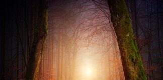 Co to jest rachunek zysków i strat? Co to jest rachunek zysków i strat?