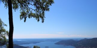 Co mój przełożony powinien zacząć robić?