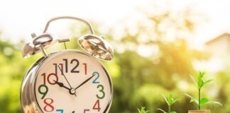 Kto może uczyć biznesu i zarządzania?