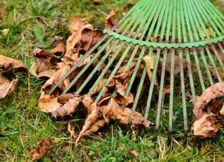 Jaka jest prowizja dla agenta ubezpieczeniowego?