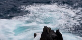 Czy ceny mieszkań spadną 2024?