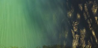 Jaki jest poziom angielskiego w 8 klasie? Jaki jest poziom angielskiego w 8 klasie?