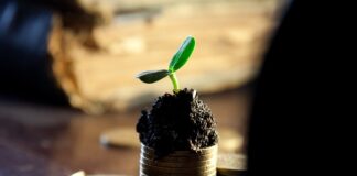 Kto płaci dywidendy? Kto płaci dywidendy?