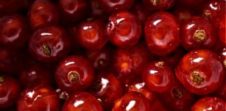 Gdzie najlepiej studiować zarządzanie i inżynierię produkcji?